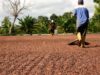 Cacao Sur del Lago ¿Por qué lo prefieren los mejores chocolateros del mundo?