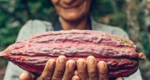 10 años de Hacienda Las Bromelias y un cacao único en el estado Aragua