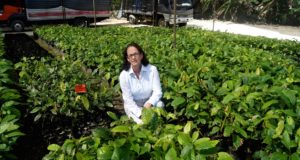 Catalina Ramis: “Debemos cuidar la genética del cacao venezolano”