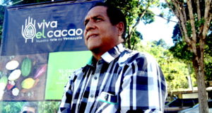 Milton Bolaños ante CCN-51: “los venezolanos deben mantener intacta la genética de su cacao”.