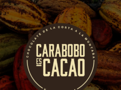 De la costa a la montaña… Ahora Carabobo también es cacao.