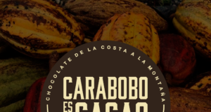 De la costa a la montaña… Ahora Carabobo también es cacao.