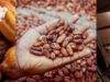 Ecuador se prepara el 28 y 29 de mayo para la II Edición del Cacao & Chocolate Summit 2020