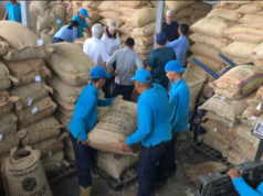 IESA Y VIVA EL CACAO CELEBRAN FORO “CACAO VENEZOLANO, OPORTUNIDADES DE NEGOCIO”